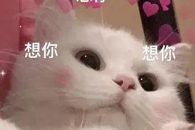 这些甜蜜的聊天记录，谁看了能顶得住啊图片
