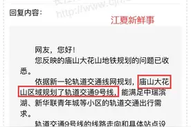 江夏大花山区域规划了轨道交通9号线？最新回复这样说图片