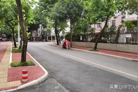 有些南宁人生活过得太好了！婴儿车里坐的不是婴儿，而是宠物狗图片