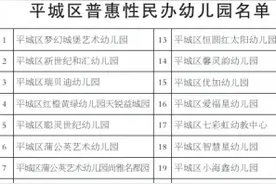 23所！大同市平城区普惠性民办幼儿园评定结果出炉图片