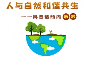 六五环境日 | 看萌虎，过六五图片