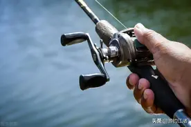 路亚小知识，想学会路亚，提高路亚中鱼率，就要明白路亚是什么图片