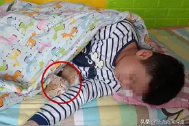 辽宁9岁小学生被值周学生厕所罚跪磕头，查出重度抑郁症，校长免职涉事学生拒道歉，教育局：不构成校园欺凌图片