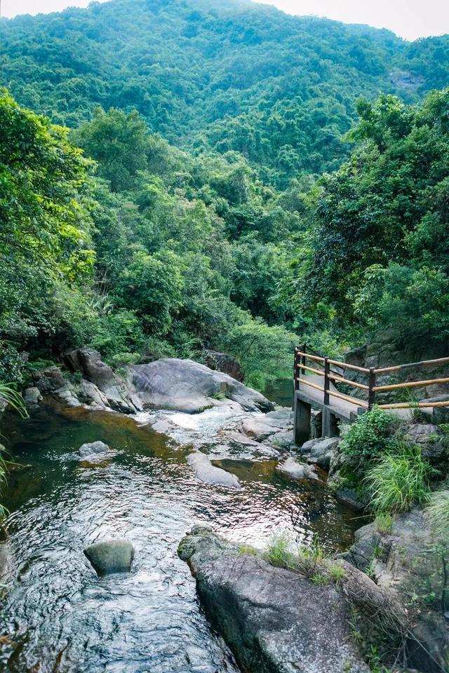深圳值得征服的10座山，你去过几座？