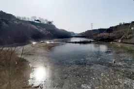 鱼肥水美、草长莺飞，红星水库一湾清波，滋润关中大地。图片