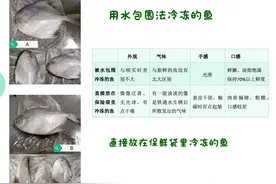休渔期即将来临，囤的海鱼怎么保鲜？宁波象山这名小学生研究出了个小妙招图片