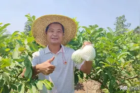 离城区仅20分钟车程！山塘竟藏着一个“馋人”的水果园，不去可惜了图片