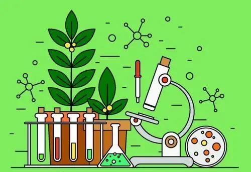 【生物地理备考】理论联系实际 优化内容框架