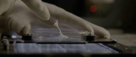 解释一下《异星觉醒》最后的结局