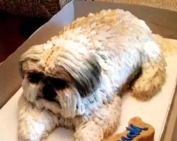 让生日永生难忘！创意蛋糕大集合之孩子篇——OK优选蛋糕王国