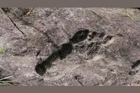 史前文明真的存在吗？地质学家发现神秘大脚印，至今已有2亿年视频封面