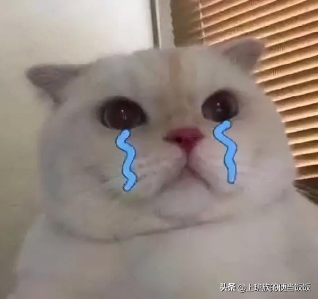 比奶茶还上头，石榴的宝藏吃法，没人不爱