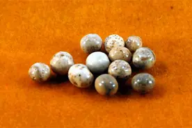 高僧圆寂被火化后，为啥容易形成舍利子？舍利子到底是什么？图片