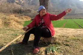 1伙城里人农村游玩把7旬大娘家葱偷个精光，她1句话说得让人脸红图片