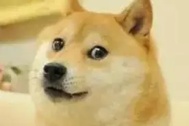 手机套餐资费太贵怎么办？办理携号转网全过程图片