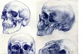 人体绘画干货，各种形态的人体，专业的眼光带你搞颜色！图片