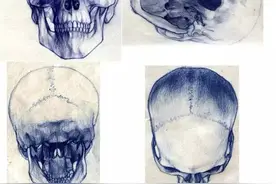 人体绘画干货，各种形态的人体，专业的眼光带你搞颜色！图片
