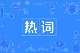 2020网络流行语和热词（2）图片