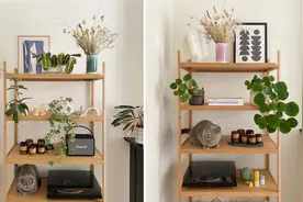 绿植别只摆阳台，学她家放块镜子，小户型也能坐拥有氧小森林图片