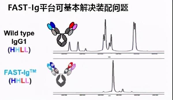 代表性双抗平台盘点