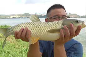 又一大江禁钓，永久且任何形式都不让，可惜了曾经的钓鱼天堂图片