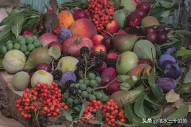神奇的国度水果的天堂——越南图片