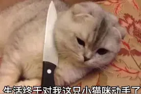 什么是内分泌，什么是激素，对身体有什么影响图片