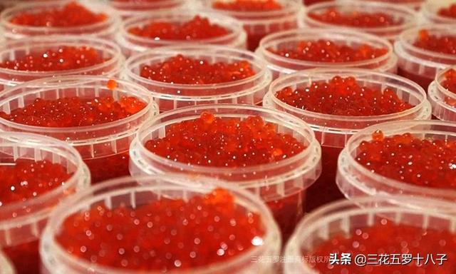 大马哈鱼籽第一次吃有点腥！第二次吃有点咸！随后一直都想吃