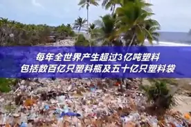 在海洋中的某些地方，科学家发现的塑料比植物还要多！｜双语阅读图片