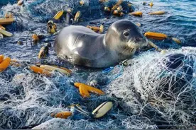 科学家提出大胆猜想：霍金预言成真了，人体内出现不该存在的东西图片