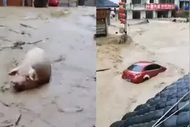 贵州三都县遇强降雨致街道内涝严重 街头汽车被冲走视频封面