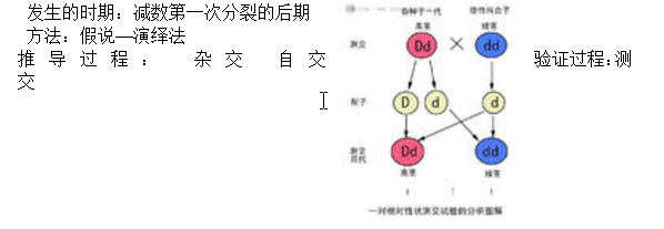高中生物知识点总结