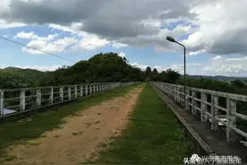 兴宁野生植物调查笔记十四图片