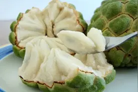 释迦果的甜度，你能接受吗？非常，非常甜图片