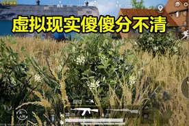 吃鸡中出现一个有“毒”的个人主页，点进去的玩家会被光子惩罚图片