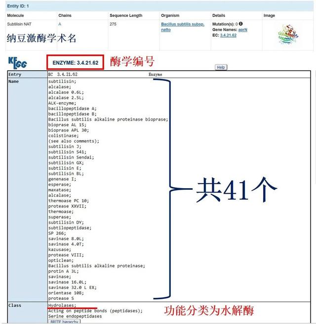 日本保健品“纳豆激酶”抗血栓？拜托想忽悠国人得先把名字起对