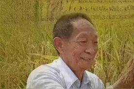 致敬袁老 送别袁老图片