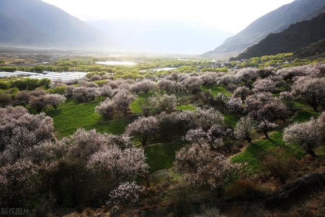 滇藏铁路:开通是必须的,可什么时候才能通呢?