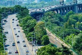 武汉“脏乱差”？城市变化太快，总长度达4100公里的林荫路太美图片