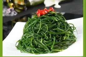 民勤特色农产品：沙葱，挑战你的味蕾！图片