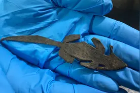 英国发现1800年前“皮老鼠”，博物馆：可能是玩具，属于罗马小孩图片