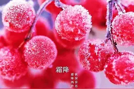 明日霜降，传统习俗要多吃这“1红1黑2白”，应季而食健康入冬图片