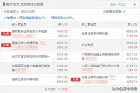 每日龙虎榜——作手新一再度买入闽东电力，方新侠布局华能国际图片