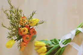 我不建议你对别人太好图片