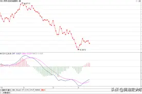 人民币大幅升值，大蒜价格居高不下，出口承压，大蒜后期走势堪忧图片
