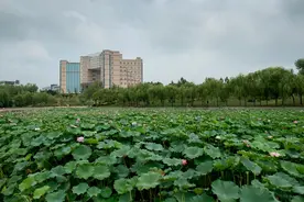 从河南工程学院毕业十年后，我有点儿想你了图片