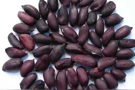 河北邢台市十大特产有哪些图片