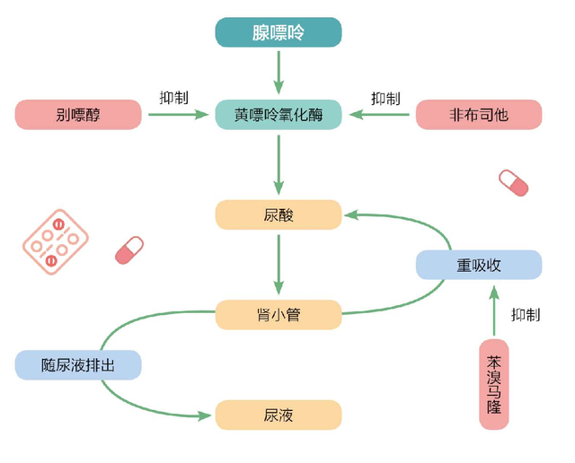 爱喝酒的痛风人直接吃别嘌醇，危害可能比长期吃激素、止痛药还大