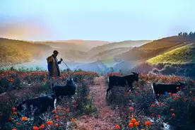 北京杭州深圳靠边站！这十个城市，才是8亿中国打工人的摸鱼天堂图片
