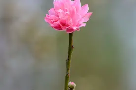 习学笔记：从汉字中读懂人生哲理---有始有终善始善终图片